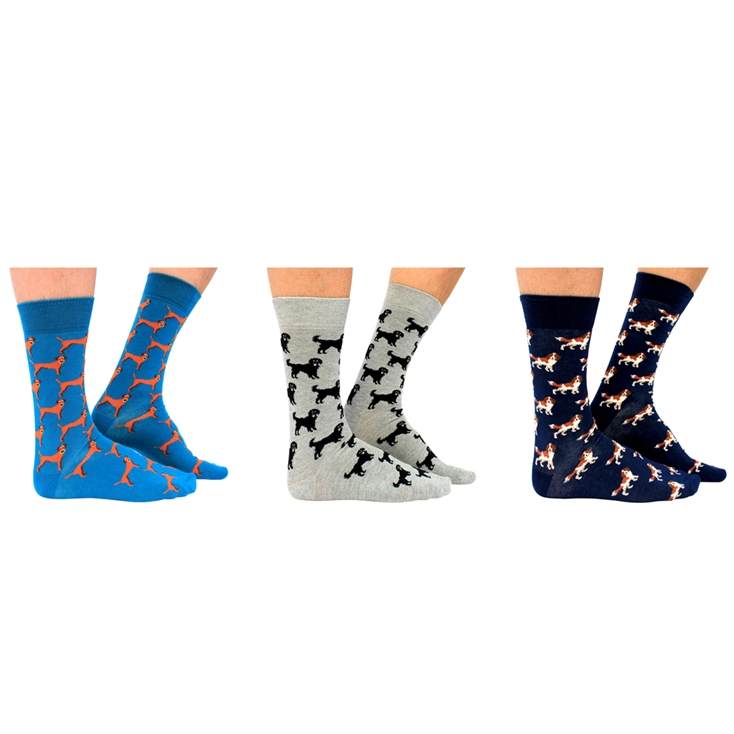 Cheeky Dog Trio Mens Socks Gift Set