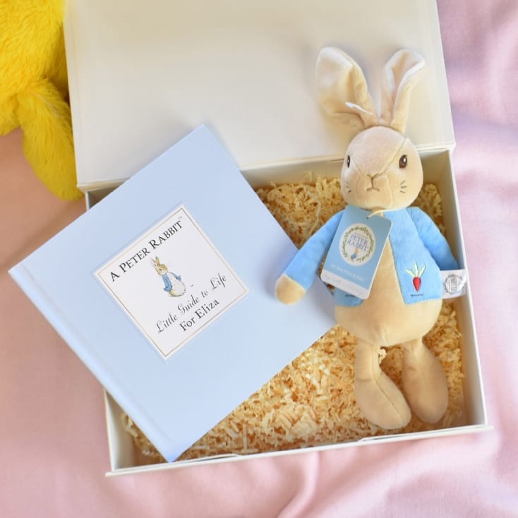 Peter Rabbit Guide to Life Plush Toy Giftset