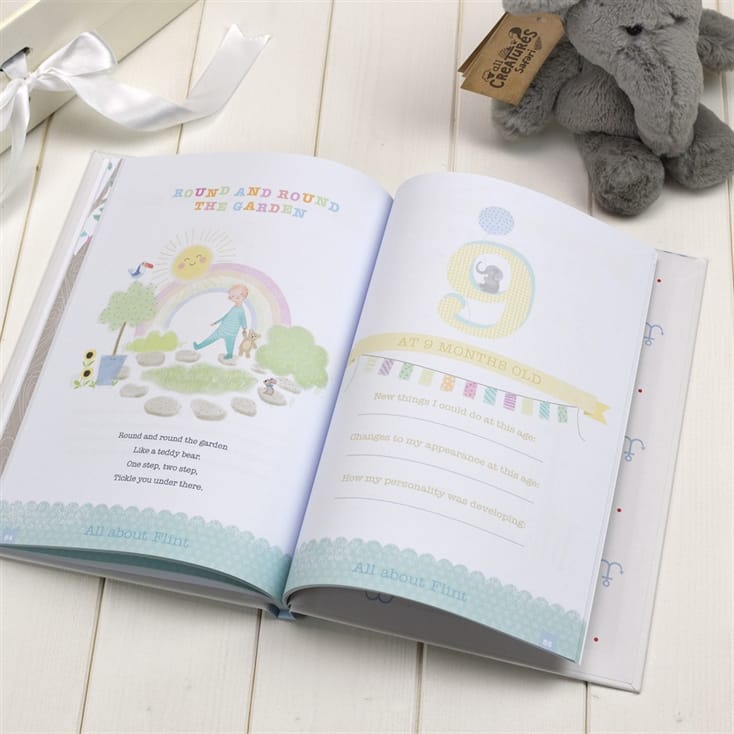 Personalised Baby Record Book & Elephant Teddy