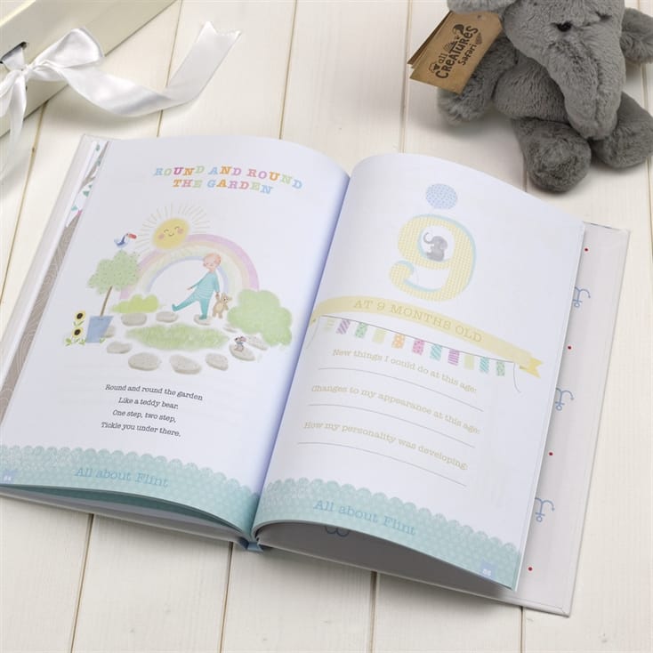 baby record book uk