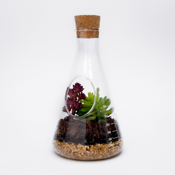 Chemistry Terrarium Kit Find Me A Gift
