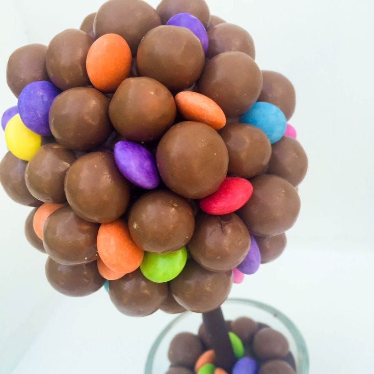 Chocolate Sweet Tree- Maltesers and Smarties