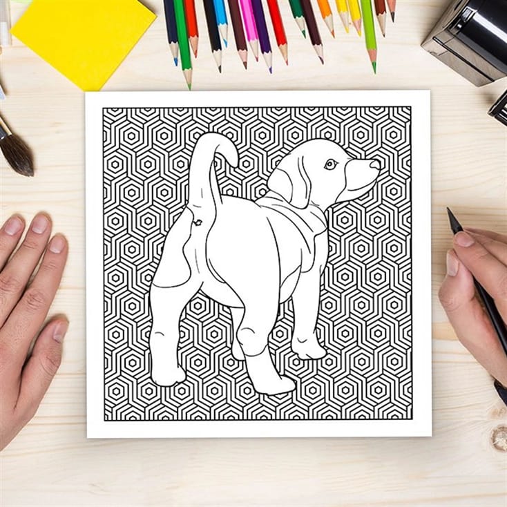 Dog Butt Adult Colouring Book & Sweary Pencils set