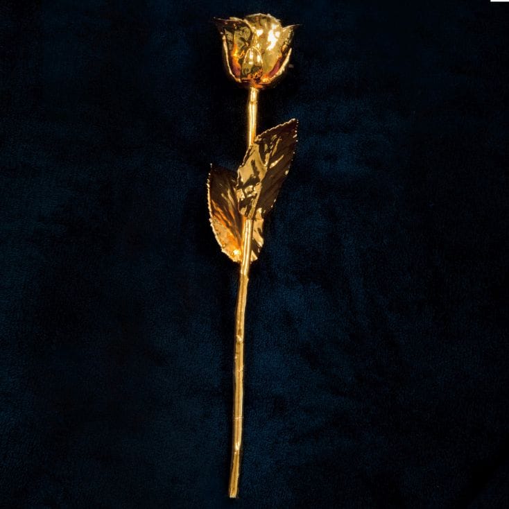 24k Gold Rose