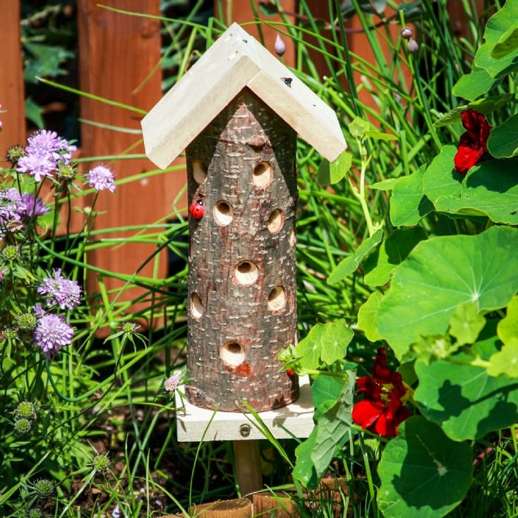Ladybird House Find Me A Gift