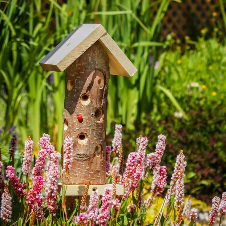 Ladybird House Find Me A Gift