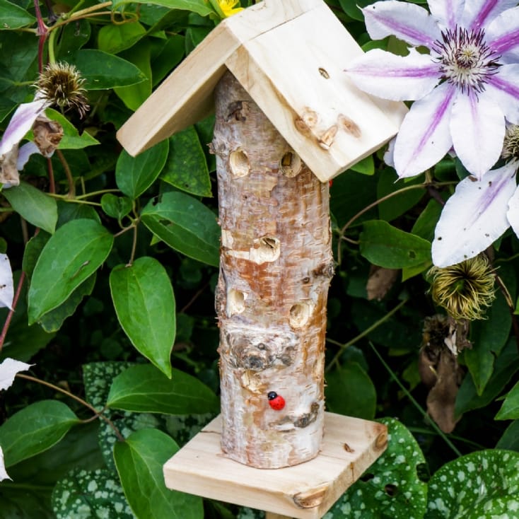 Ladybird House Find Me A Gift
