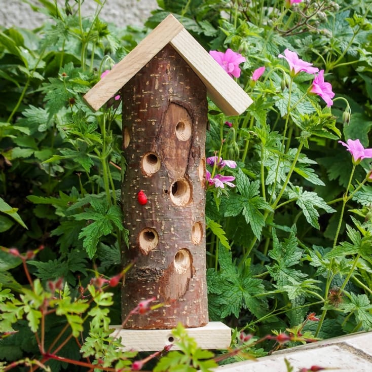 Ladybird House Find Me A Gift