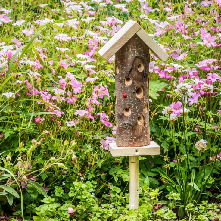 Ladybird House Find Me A Gift