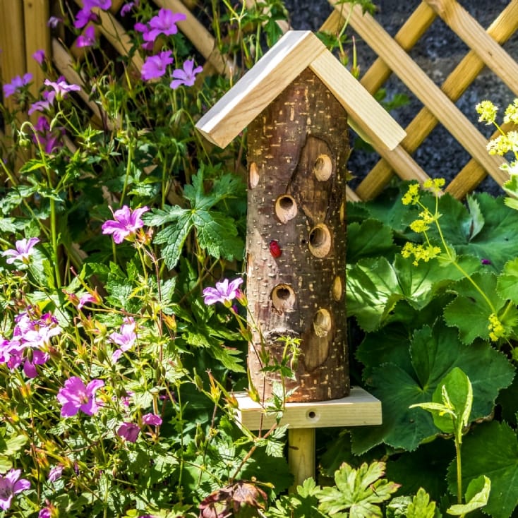 Ladybird House Find Me A Gift