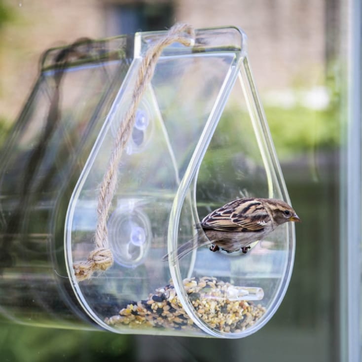 Dewdrop Window Bird Feeder Find Me A Gift