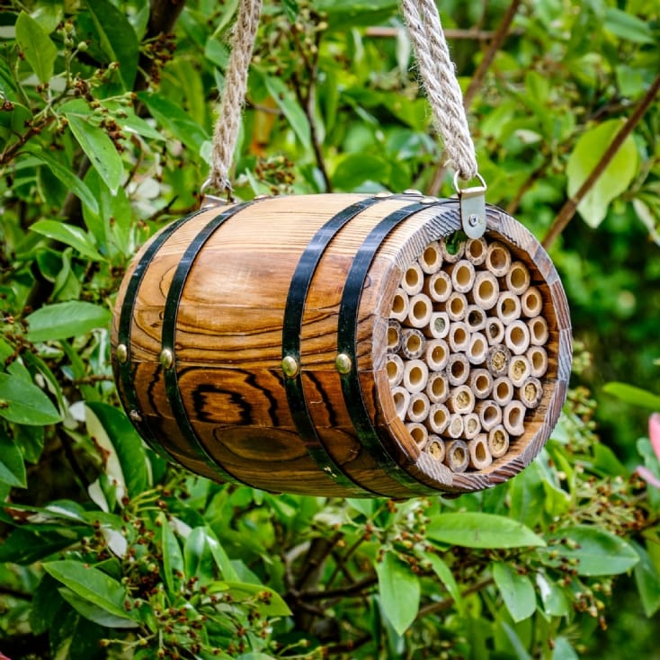 Bee Barrel