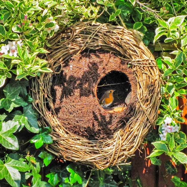 Simon King Wreath Bird Nester