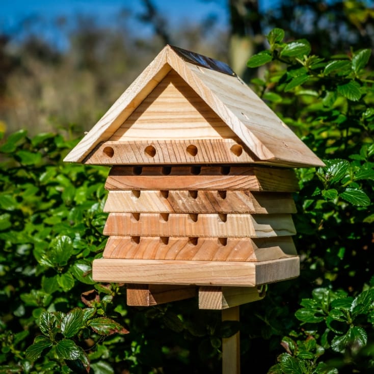 Interactive Solitary Bee Hive