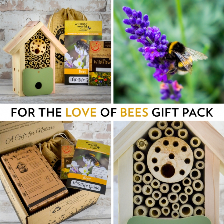 For The Love Of Bees Gift pack Find Me A Gift