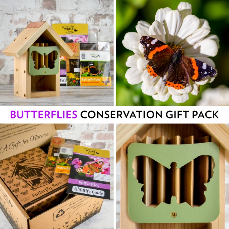 Butterflies Conservation Gift Pack Find Me A Gift