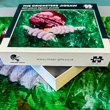 Cricket Ball and Bails 500 Piece Jigsaw Puzzle