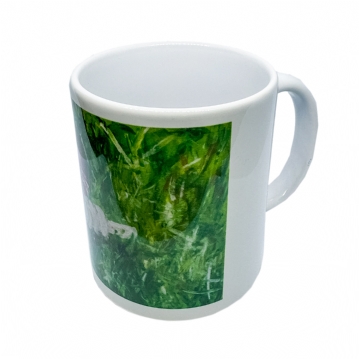 Cricketer's Mug