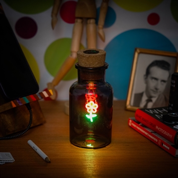 Flower LED Neon Message in a Bottle Light