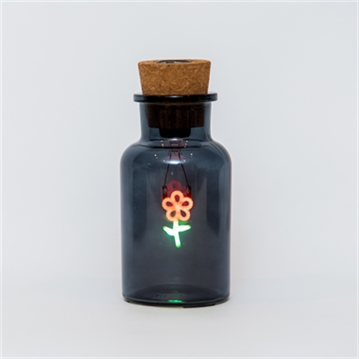 Flower LED Neon Message in a Bottle Light