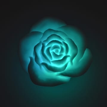 Floating Rose Bath Lights