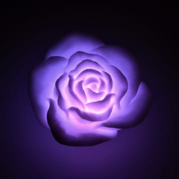 Floating Rose Bath Lights