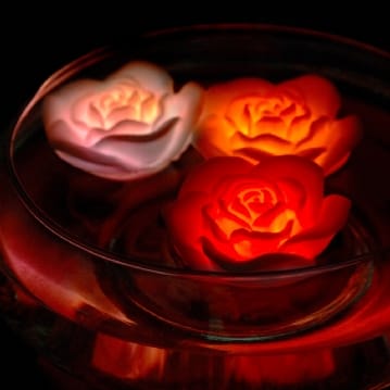 Floating Rose Bath Lights
