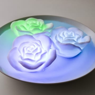 Floating Rose Bath Lights