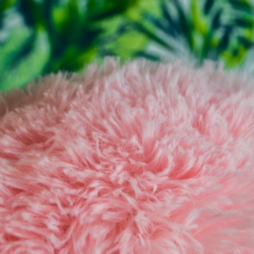 Flamingo Cushion