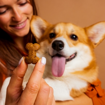 3 Month Dog Treat Subscription
