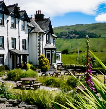 Dog Friendly Hotel Stay 