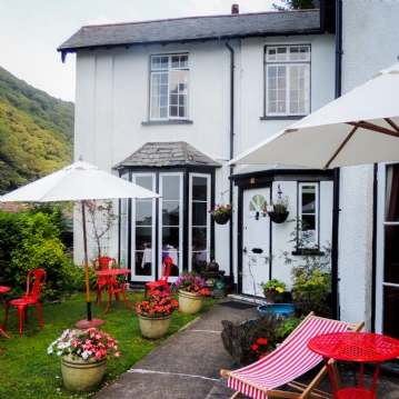 Dog Friendly Hotel Stay 