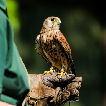 Ultimate Gift Experiences For Kids & Teens