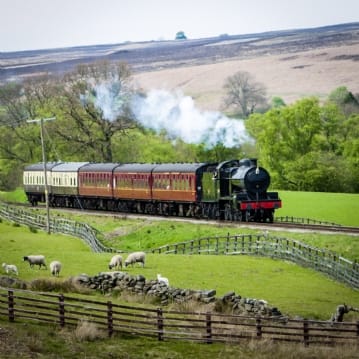 Steam Train Experience for Two