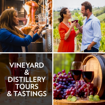 Vineyard Tour and Tasting Experience For Two