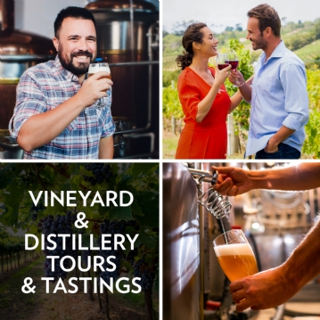 Vineyard Tour and Tasting Experience For Two