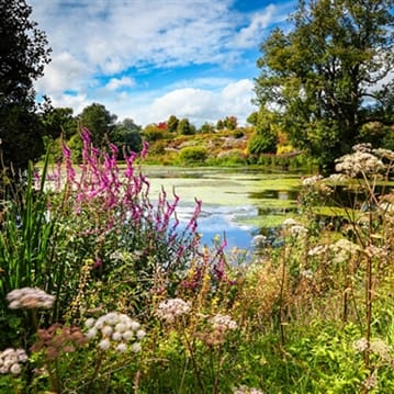 Afternoon Welsh Tea with Prosecco in The Iconic Great Glasshouse for Two