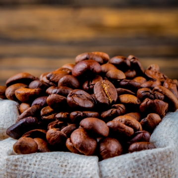 Coffee Roasting Training Taster Session