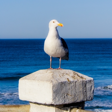 One Night Stay for Two at UK Seaside Town