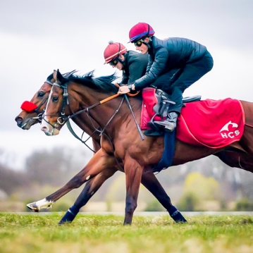 Harraton Court Stables Tour for Two with Darryll Holland
