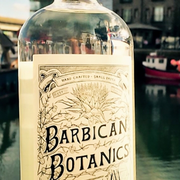 Premium Gin Room Connoisseur Masterclass for Two at Barbican Botanics