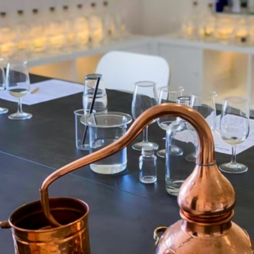 Premium Gin Room Connoisseur Masterclass for Two at Barbican Botanics