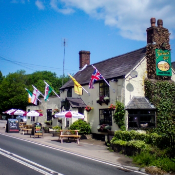 One Night Staycation