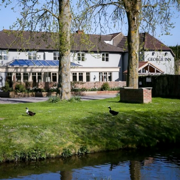 One Night Staycation