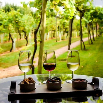 Vineyard Tour and Tasting for Two at Stanlake Park Wine Estate