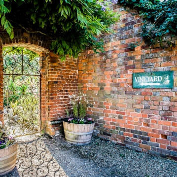 Vineyard Tour and Tasting for Two at Stanlake Park Wine Estate