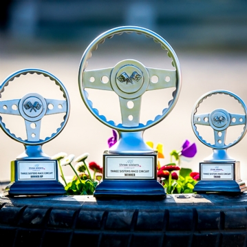 Open Sprint Race for One at Three Sisters Circuit