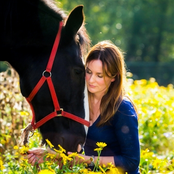 Meditation with Horses for Two in the Lake District