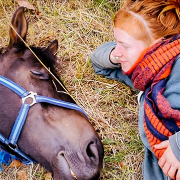 Meditation with Horses for Two in the Lake District
