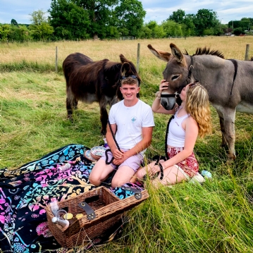 Donkey Picnic for Two at Dashing Donkeys